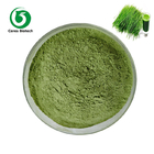 Antioxidant Dried Vegetable Powder Wheat Grass Juice Powder Food Grade