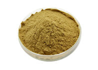 Anti Oxidation Polyphenols 95% EGCG 45% Green Tea Extract
