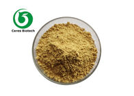 10% 20% Natural Paeoniflorin Paeony Extract Powder