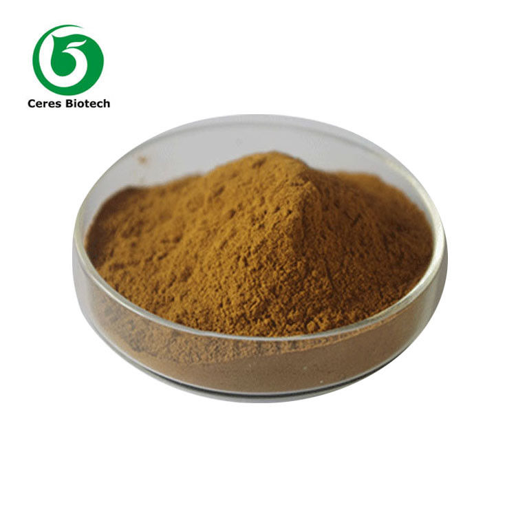 Pure Natural Herbal Extract Powder Theacrine Kucha Tea Extract 80 Mesh