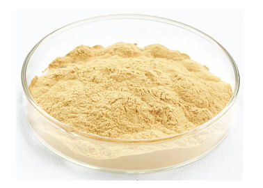 Food Grade Ginseng Extract Powder Ginsenoside 40% For Neurosism Improvement