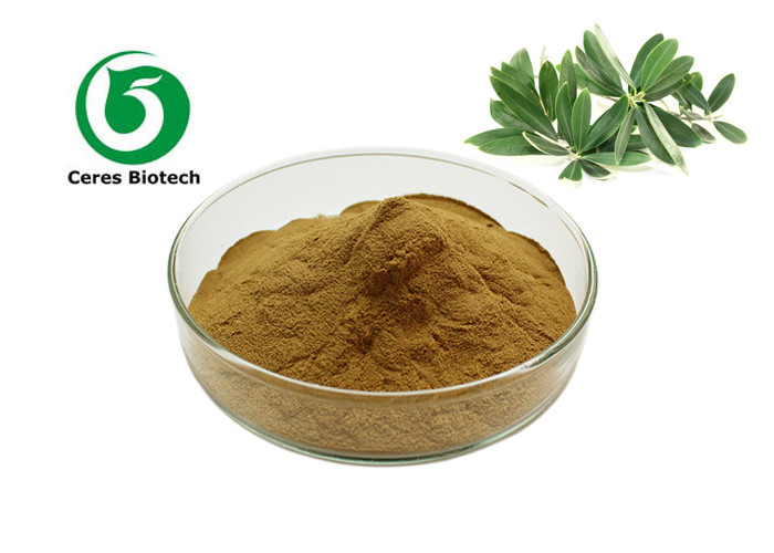 Natural Herbal Oleuropein Olive Leaf Extract Powder