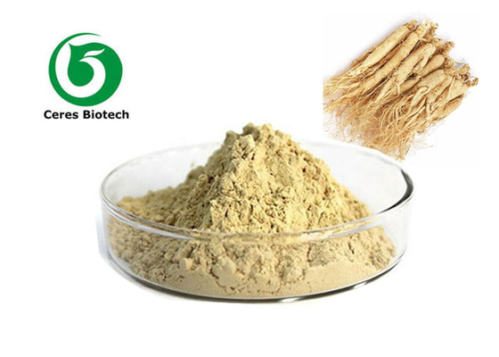 Heet het Uittrekselpoeder van de Verkoopginseng met 5% 20% 80% Ginsenosides