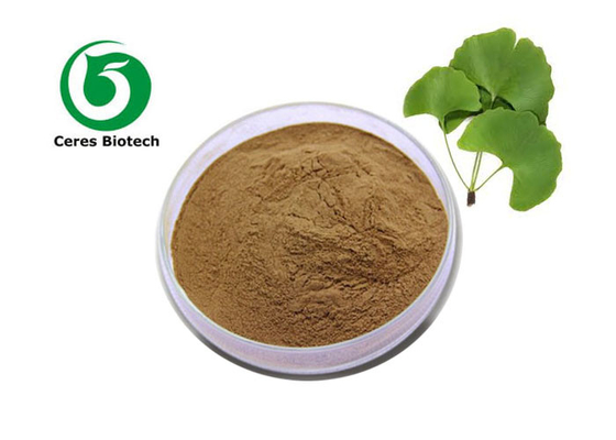 Ginkgo Biloba blad extract poeder met 5 ppm Ginkgolic Acid Ethanol extractie's beste