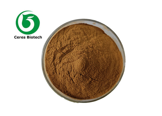 Ontketen de gezondheidsvoordelen van suikerappel-extract uit de botanische bron Astragalus Membranaceus